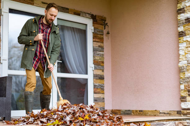 Best Dumpster Rental Services  in Abingdon, IL